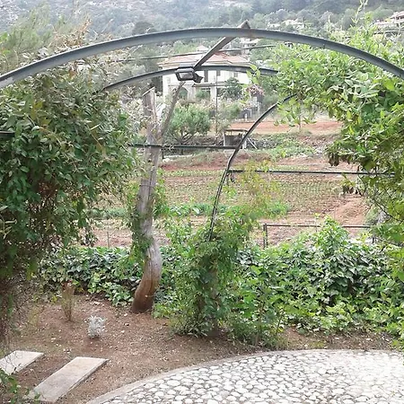 Apartment Kizilbel Evleri